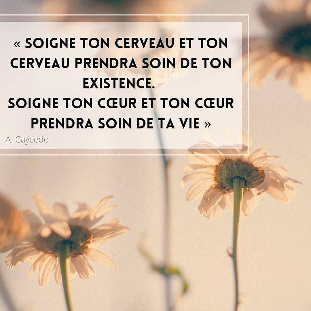 citation